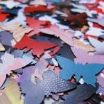 300 colorful butterflies, c..