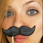 Black Mustache on a Stick s..