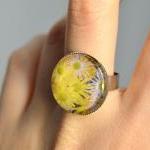 Yellow flowers adjustable r..